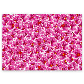Поздравительная открытка с принтом Розовые орхидеи в Курске, 100% бумага | плотность бумаги 280 г/м2, матовая, на обратной стороне линовка и место для марки
 | Тематика изображения на принте: fashion flowers | pink | tropical | азия | бабочки | бразилия | букет | бутоны | джунгли | лепестки | лето | любимая | марта | нежные | орхидея | подарок | природа | растения | тропики | тропические | узор | цветение