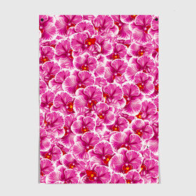 Постер с принтом Розовые орхидеи в Курске, 100% бумага
 | бумага, плотность 150 мг. Матовая, но за счет высокого коэффициента гладкости имеет небольшой блеск и дает на свету блики, но в отличии от глянцевой бумаги не покрыта лаком | fashion flowers | pink | tropical | азия | бабочки | бразилия | букет | бутоны | джунгли | лепестки | лето | любимая | марта | нежные | орхидея | подарок | природа | растения | тропики | тропические | узор | цветение
