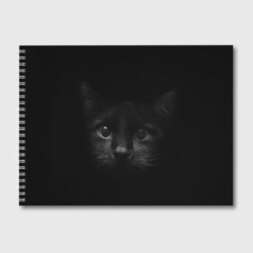 Альбом для рисования с принтом черный кот в Курске, 100% бумага
 | матовая бумага, плотность 200 мг. | животные | зайка | заяц | звери | зевающий кот | кися | кот | котенок | котики | коты | кричащий кот | кролик | минимализм | питомцы | прикольные картинки