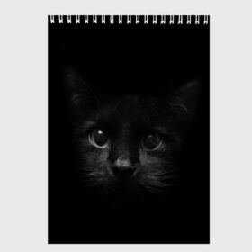 Скетчбук с принтом черный кот в Курске, 100% бумага
 | 48 листов, плотность листов — 100 г/м2, плотность картонной обложки — 250 г/м2. Листы скреплены сверху удобной пружинной спиралью | животные | зайка | заяц | звери | зевающий кот | кися | кот | котенок | котики | коты | кричащий кот | кролик | минимализм | питомцы | прикольные картинки