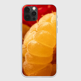 Чехол для iPhone 12 Pro Max с принтом Малина в Курске, Силикон |  | Тематика изображения на принте: еда | жёлтая | жёлтые | красная | красные | малина | малинка | природа | растение | растения | ягода | ягодки | ягоды