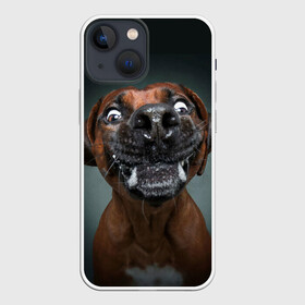 Чехол для iPhone 13 mini с принтом Это всё мне в Курске,  |  | dog | зубы | лапы | мем | пес | прикол | слюни | смешные животные | собака | собачка | щенок | это всё мне | юмор | язык