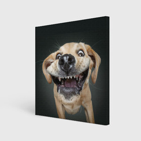 Холст квадратный с принтом Улыбающаяся Собака в Курске, 100% ПВХ |  | Тематика изображения на принте: dog | зубы | лапы | мем | пес | прикол | слюни | смешные животные | собака | собачка | улыбающаяся собака | улыбка | щенок | юмор | язык
