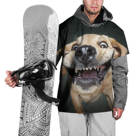 Накидка на куртку 3D с принтом Улыбающаяся Собака в Курске, 100% полиэстер |  | Тематика изображения на принте: dog | зубы | лапы | мем | пес | прикол | слюни | смешные животные | собака | собачка | улыбающаяся собака | улыбка | щенок | юмор | язык