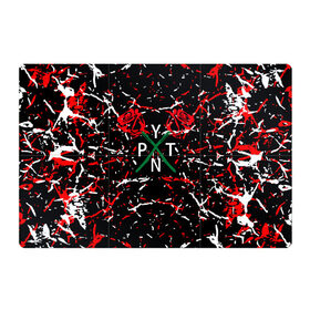 Магнитный плакат 3Х2 с принтом ТИКТОКЕР - PAYTON MOORMEIE. в Курске, Полимерный материал с магнитным слоем | 6 деталей размером 9*9 см | payton | payton moormeie | tiktok | блогер | блогеры | знаменитости | музыка | пейтон | пейтон моормиер | популярные иллюстрации | прикольные картинки | тик ток | тиктокер