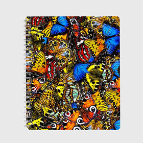 Тетрадь с принтом Ночные Бабочки в Курске, 100% бумага | 48 листов, плотность листов — 60 г/м2, плотность картонной обложки — 250 г/м2. Листы скреплены сбоку удобной пружинной спиралью. Уголки страниц и обложки скругленные. Цвет линий — светло-серый
 | animals | butterfly | pattern | акварель | бабочка | бабочки | животные | крылышки | крылья | насекомые | ночные бабочки | паттерн | рисунок | тропические бабочки | цветные бабочки