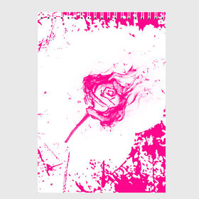 Скетчбук с принтом роза в Курске, 100% бумага
 | 48 листов, плотность листов — 100 г/м2, плотность картонной обложки — 250 г/м2. Листы скреплены сверху удобной пружинной спиралью | видео | мастер класс | поделки из бумаги | популярное | посадка | роза | роза из бумаги | розы | сад | своими руками | цветы
