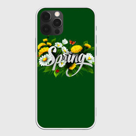Чехол для iPhone 12 Pro Max с принтом Весна в Курске, Силикон |  | Тематика изображения на принте: весна | одуванчики | полевые цветы. | ромашки | цветы