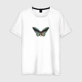 Мужская футболка хлопок с принтом Бабочка в Курске, 100% хлопок | прямой крой, круглый вырез горловины, длина до линии бедер, слегка спущенное плечо. | бабочка | зеленая бабочка | насекомое