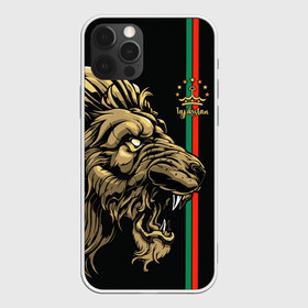 Чехол для iPhone 12 Pro Max с принтом Таджикистан в Курске, Силикон |  | crown | evil | golden | islam | lion | republic | stars | tajikistan | звезды | злой | золотой | ислам | корона | лев | республика | таджикистан