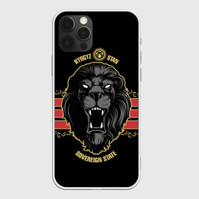 Чехол для iPhone 12 Pro Max с принтом Казахстан в Курске, Силикон |  | crown | eagle | islam | kazakhstan | king | lion | republic | sun | ислам | казахстан | король | корона | лев | орел | республика | солнце | царь