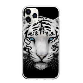 Чехол для iPhone 11 Pro Max матовый с принтом Белый тигр в Курске, Силикон |  | белый тигр | крупный тигр | крупным планом | с голубыми глазами | тигры