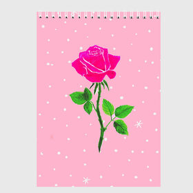 Скетчбук с принтом Роза на розовом в Курске, 100% бумага
 | 48 листов, плотность листов — 100 г/м2, плотность картонной обложки — 250 г/м2. Листы скреплены сверху удобной пружинной спиралью | женственно | красота | роза | розовый | снежинки | фуксия | цветок | шик