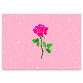 Поздравительная открытка с принтом Роза на розовом в Курске, 100% бумага | плотность бумаги 280 г/м2, матовая, на обратной стороне линовка и место для марки
 | женственно | красота | роза | розовый | снежинки | фуксия | цветок | шик
