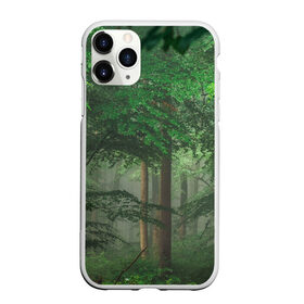 Чехол для iPhone 11 Pro Max матовый с принтом Тропический лес в Курске, Силикон |  | Тематика изображения на принте: деревья | джунгли | зеленый лес | зелень | лес | тропики | тропический лес