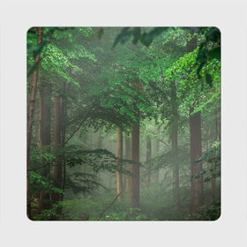 Магнит виниловый Квадрат с принтом Тропический лес в Курске, полимерный материал с магнитным слоем | размер 9*9 см, закругленные углы | деревья | джунгли | зеленый лес | зелень | лес | тропики | тропический лес