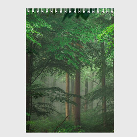 Скетчбук с принтом Тропический лес в Курске, 100% бумага
 | 48 листов, плотность листов — 100 г/м2, плотность картонной обложки — 250 г/м2. Листы скреплены сверху удобной пружинной спиралью | деревья | джунгли | зеленый лес | зелень | лес | тропики | тропический лес