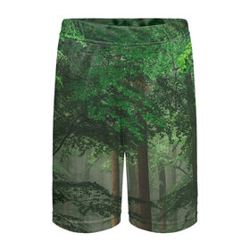 Детские спортивные шорты 3D с принтом Тропический лес в Курске,  100% полиэстер
 | пояс оформлен широкой мягкой резинкой, ткань тянется
 | деревья | джунгли | зеленый лес | зелень | лес | тропики | тропический лес