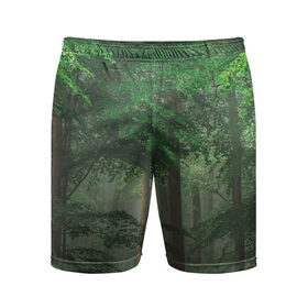 Мужские шорты спортивные с принтом Тропический лес в Курске,  |  | деревья | джунгли | зеленый лес | зелень | лес | тропики | тропический лес