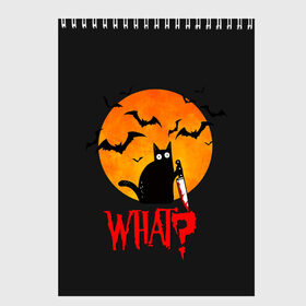 Скетчбук с принтом What Cat (Halloween) в Курске, 100% бумага
 | 48 листов, плотность листов — 100 г/м2, плотность картонной обложки — 250 г/м2. Листы скреплены сверху удобной пружинной спиралью | Тематика изображения на принте: cat | cats | halloween | moon | what | кот | котенок | коты | котяра | кошак | кошка | летучая | луна | мышь | нож | пушистый | хэллоуин | что