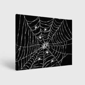 Холст прямоугольный с принтом Паутина с пауками в Курске, 100% ПВХ |  | black and white | darkness | halloween | horror | night | spider | web | готика | жуки | жуткий | мальчикам | насекомые | нечисть | нити | ночные | ночь | пауки | паутина | подарок | сетка | страшный | темный | тьма | хеллоуин | хоррор