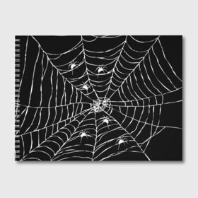 Альбом для рисования с принтом Паутина с пауками в Курске, 100% бумага
 | матовая бумага, плотность 200 мг. | black and white | darkness | halloween | horror | night | spider | web | готика | жуки | жуткий | мальчикам | насекомые | нечисть | нити | ночные | ночь | пауки | паутина | подарок | сетка | страшный | темный | тьма | хеллоуин | хоррор
