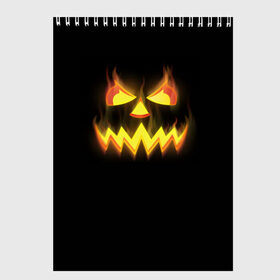 Скетчбук с принтом Halloween в Курске, 100% бумага
 | 48 листов, плотность листов — 100 г/м2, плотность картонной обложки — 250 г/м2. Листы скреплены сверху удобной пружинной спиралью | halloween | jack | lantern | pumpkin | светильник джека | хэллоуин