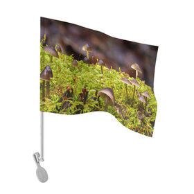 Флаг для автомобиля с принтом Мох в Курске, 100% полиэстер | Размер: 30*21 см | гриб | грибы | дерево | деревья | зелёные | зелёный | зелень | лес | леса | лесной | мох | мхи | пенёк | пеньки | пни | поганка | поганки | природа | природный | флора
