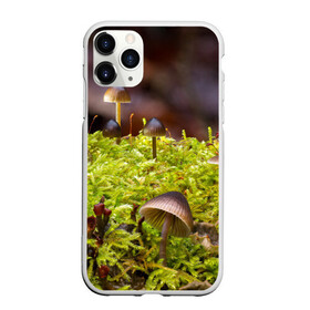 Чехол для iPhone 11 Pro матовый с принтом Мох в Курске, Силикон |  | Тематика изображения на принте: гриб | грибы | дерево | деревья | зелёные | зелёный | зелень | лес | леса | лесной | мох | мхи | пенёк | пеньки | пни | поганка | поганки | природа | природный | флора
