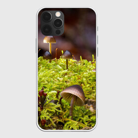 Чехол для iPhone 12 Pro с принтом Мох в Курске, силикон | область печати: задняя сторона чехла, без боковых панелей | гриб | грибы | дерево | деревья | зелёные | зелёный | зелень | лес | леса | лесной | мох | мхи | пенёк | пеньки | пни | поганка | поганки | природа | природный | флора