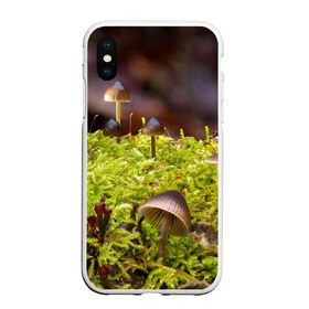 Чехол для iPhone XS Max матовый с принтом Мох в Курске, Силикон | Область печати: задняя сторона чехла, без боковых панелей | гриб | грибы | дерево | деревья | зелёные | зелёный | зелень | лес | леса | лесной | мох | мхи | пенёк | пеньки | пни | поганка | поганки | природа | природный | флора