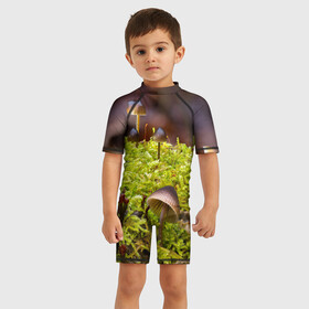 Детский купальный костюм 3D с принтом Мох в Курске, Полиэстер 85%, Спандекс 15% | застежка на молнии на спине | гриб | грибы | дерево | деревья | зелёные | зелёный | зелень | лес | леса | лесной | мох | мхи | пенёк | пеньки | пни | поганка | поганки | природа | природный | флора