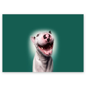 Поздравительная открытка с принтом Bully в Курске, 100% бумага | плотность бумаги 280 г/м2, матовая, на обратной стороне линовка и место для марки
 | bull terrier | ears | eyes | fangs | jaw | muzzle | nose | smile | бультерьер | глаза | клыки | нос | пасть | улыбка | уши