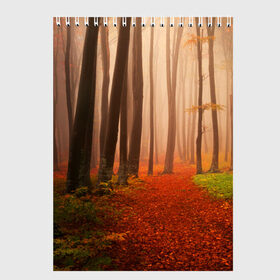 Скетчбук с принтом Осенний лес в Курске, 100% бумага
 | 48 листов, плотность листов — 100 г/м2, плотность картонной обложки — 250 г/м2. Листы скреплены сверху удобной пружинной спиралью | деревья | лес | листва | осенний лес | осень | природа