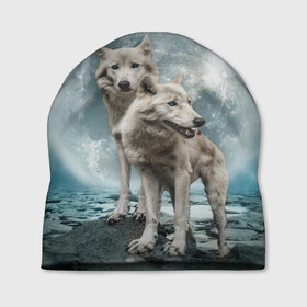 Шапка 3D с принтом Волки альбиносы в Курске, 100% полиэстер | универсальный размер, печать по всей поверхности изделия | альбинос | волк | волки | волчата | волчонок | зверь