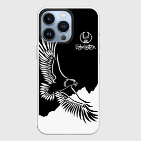 Чехол для iPhone 13 Pro с принтом Узбекистан в Курске,  |  | eagle | mountains | republic | silhouette | stencil | uzbekistan | горы | орел | республика | силуэт | трафарет | узбекистан