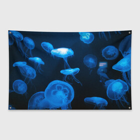 Флаг-баннер с принтом Медуза в Курске, 100% полиэстер | размер 67 х 109 см, плотность ткани — 95 г/м2; по краям флага есть четыре люверса для крепления | medusozoa | медуза | медузы | морское животное | ядовитая медуза
