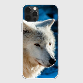 Чехол для iPhone 12 Pro Max с принтом Северный волк в Курске, Силикон |  | Тематика изображения на принте: wolf | wolfs | волк | волки | волчара | животные | звери | лес | природа
