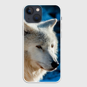 Чехол для iPhone 13 mini с принтом Волк на черном фоне в Курске,  |  | wolf | wolfs | волк | волки | волчара | животные | звери | лес | природа