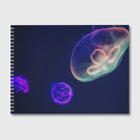 Альбом для рисования с принтом Фантастическая медуза в Курске, 100% бумага
 | матовая бумага, плотность 200 мг. | медуза | медуза в море | морская медуза | плавающая медуза | светящаяся медуза