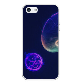 Чехол для iPhone 5/5S матовый с принтом Фантастическая медуза в Курске, Силикон | Область печати: задняя сторона чехла, без боковых панелей | медуза | медуза в море | морская медуза | плавающая медуза | светящаяся медуза