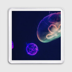 Магнит 55*55 с принтом Фантастическая медуза в Курске, Пластик | Размер: 65*65 мм; Размер печати: 55*55 мм | Тематика изображения на принте: медуза | медуза в море | морская медуза | плавающая медуза | светящаяся медуза