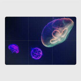 Магнитный плакат 3Х2 с принтом Фантастическая медуза в Курске, Полимерный материал с магнитным слоем | 6 деталей размером 9*9 см | медуза | медуза в море | морская медуза | плавающая медуза | светящаяся медуза