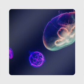 Магнит виниловый Квадрат с принтом Фантастическая медуза в Курске, полимерный материал с магнитным слоем | размер 9*9 см, закругленные углы | медуза | медуза в море | морская медуза | плавающая медуза | светящаяся медуза