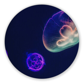 Коврик для мышки круглый с принтом Фантастическая медуза в Курске, резина и полиэстер | круглая форма, изображение наносится на всю лицевую часть | Тематика изображения на принте: медуза | медуза в море | морская медуза | плавающая медуза | светящаяся медуза