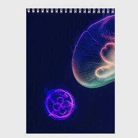Скетчбук с принтом Фантастическая медуза в Курске, 100% бумага
 | 48 листов, плотность листов — 100 г/м2, плотность картонной обложки — 250 г/м2. Листы скреплены сверху удобной пружинной спиралью | Тематика изображения на принте: медуза | медуза в море | морская медуза | плавающая медуза | светящаяся медуза
