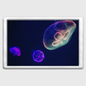 Магнит 45*70 с принтом Фантастическая медуза в Курске, Пластик | Размер: 78*52 мм; Размер печати: 70*45 | медуза | медуза в море | морская медуза | плавающая медуза | светящаяся медуза