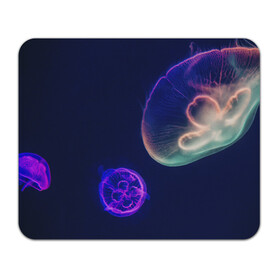 Коврик для мышки прямоугольный с принтом Фантастическая медуза в Курске, натуральный каучук | размер 230 х 185 мм; запечатка лицевой стороны | Тематика изображения на принте: медуза | медуза в море | морская медуза | плавающая медуза | светящаяся медуза