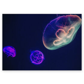 Поздравительная открытка с принтом Фантастическая медуза в Курске, 100% бумага | плотность бумаги 280 г/м2, матовая, на обратной стороне линовка и место для марки
 | Тематика изображения на принте: медуза | медуза в море | морская медуза | плавающая медуза | светящаяся медуза