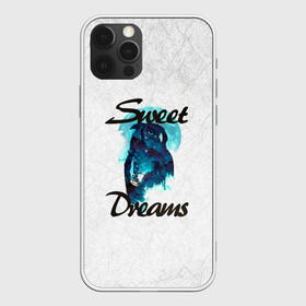 Чехол для iPhone 12 Pro с принтом Сова в Курске, силикон | область печати: задняя сторона чехла, без боковых панелей | sweet dreams | звезды | луна | ночная жизнь | ночь | сновидения | сны | сова | сон | спокойной ночи